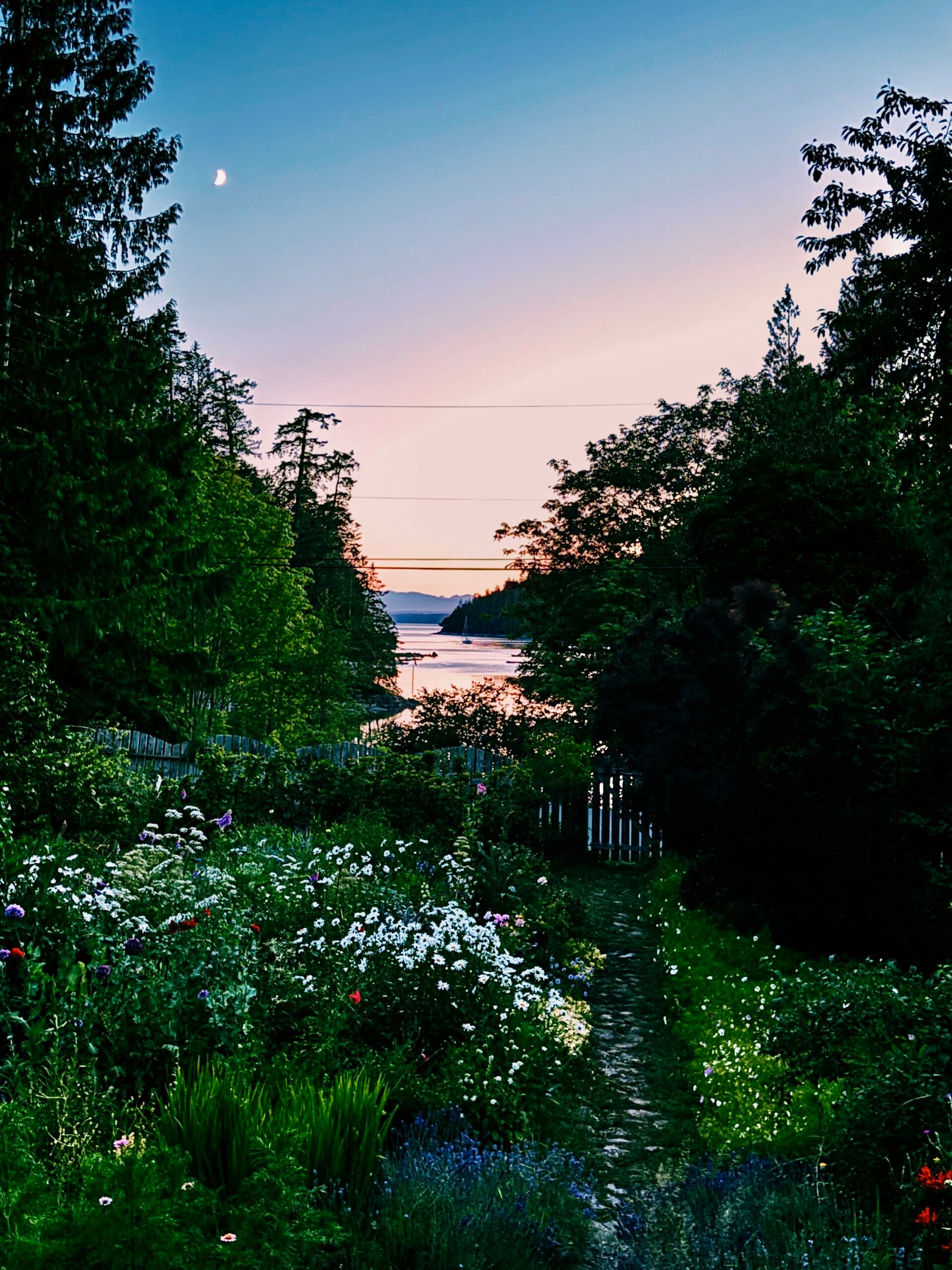 Cup of Jo reader gardens