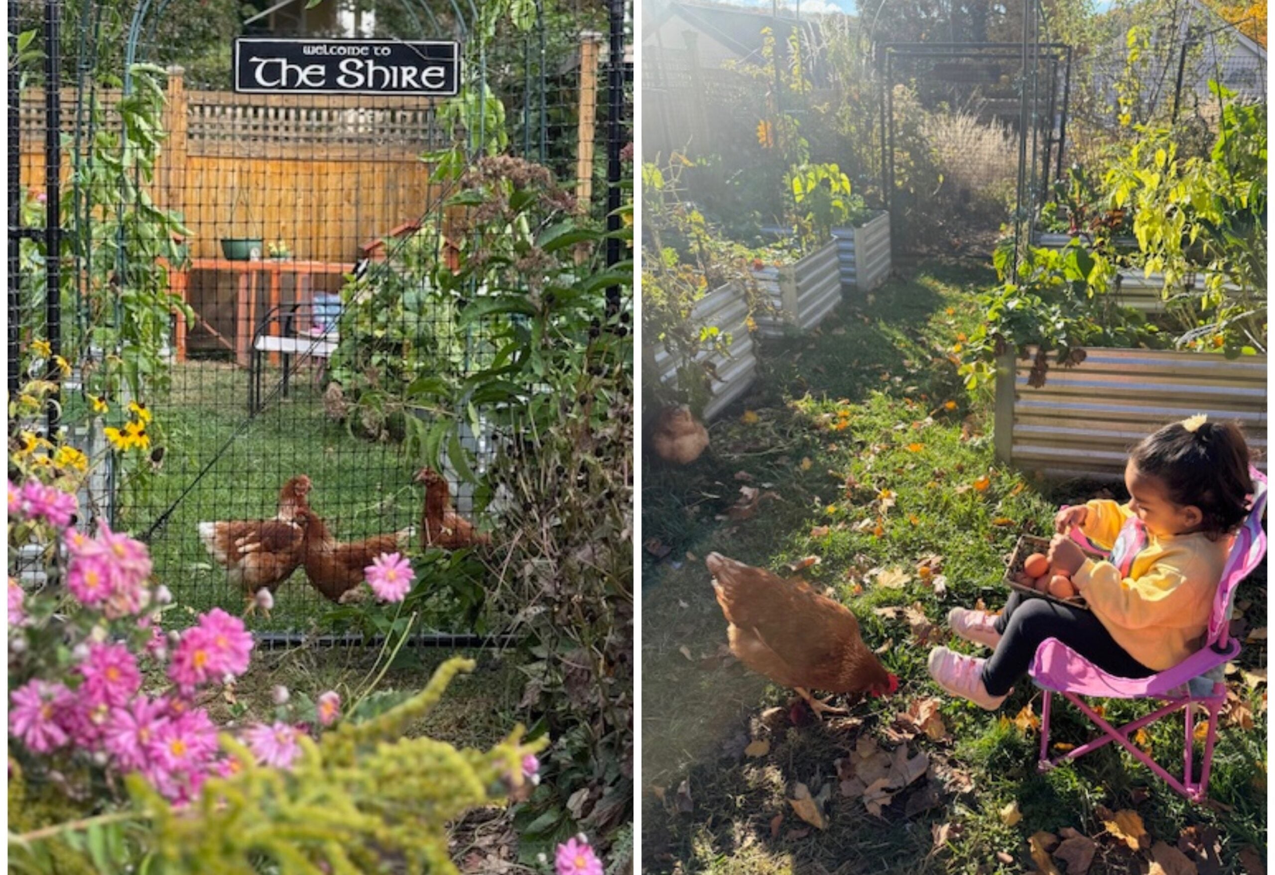 Cup of Jo reader gardens