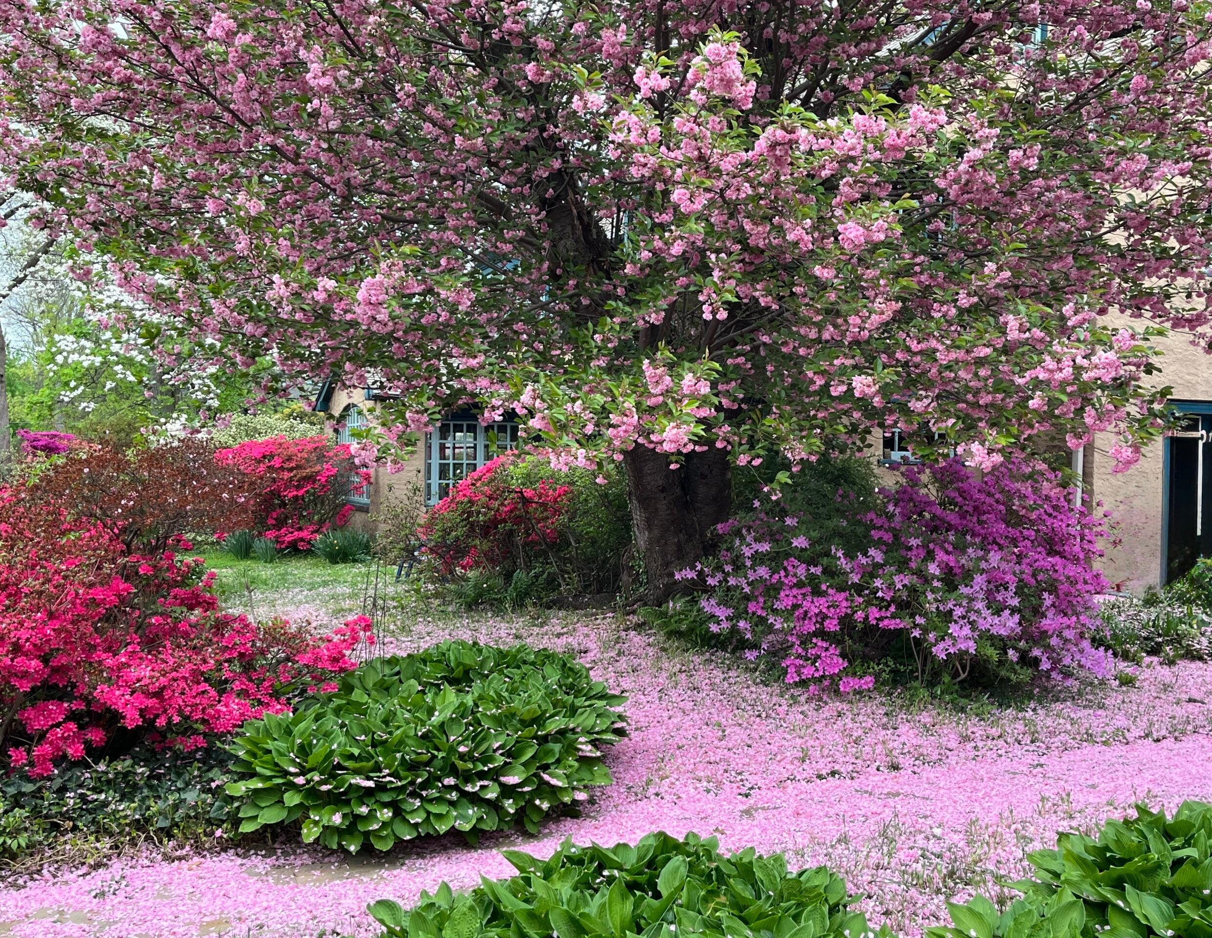 Cup of Jo reader gardens