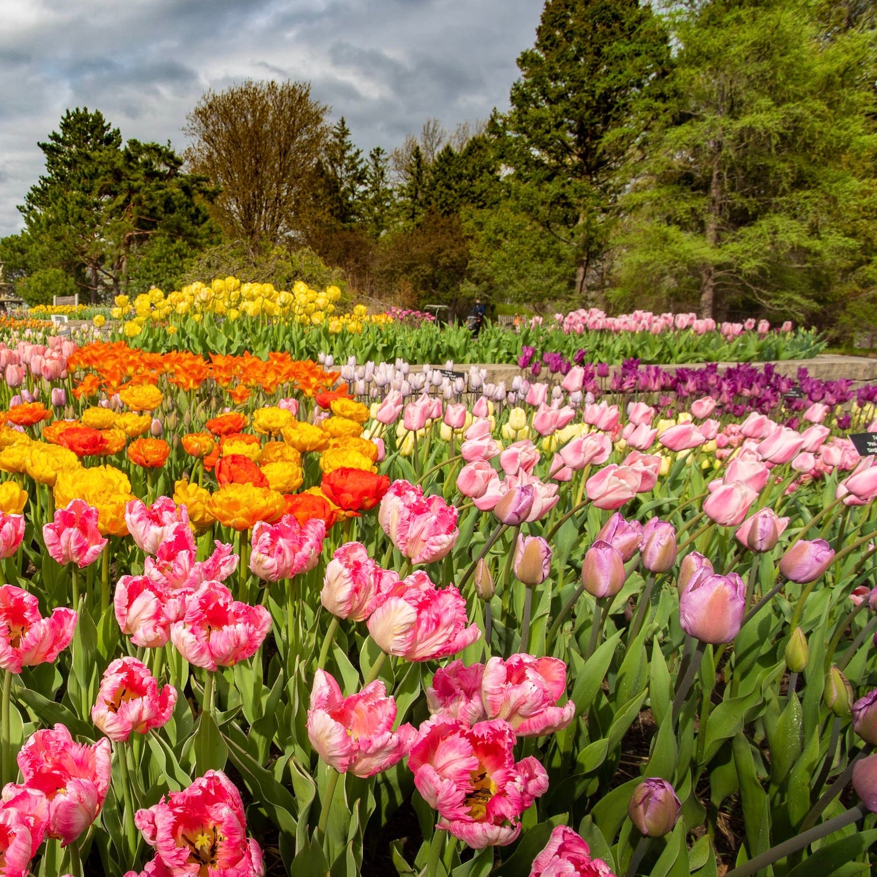 Minnesota landscape arboretum