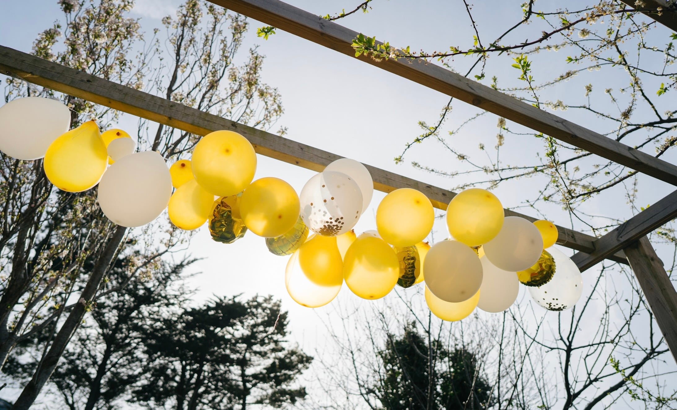 What Are Your Family Birthday Traditions?