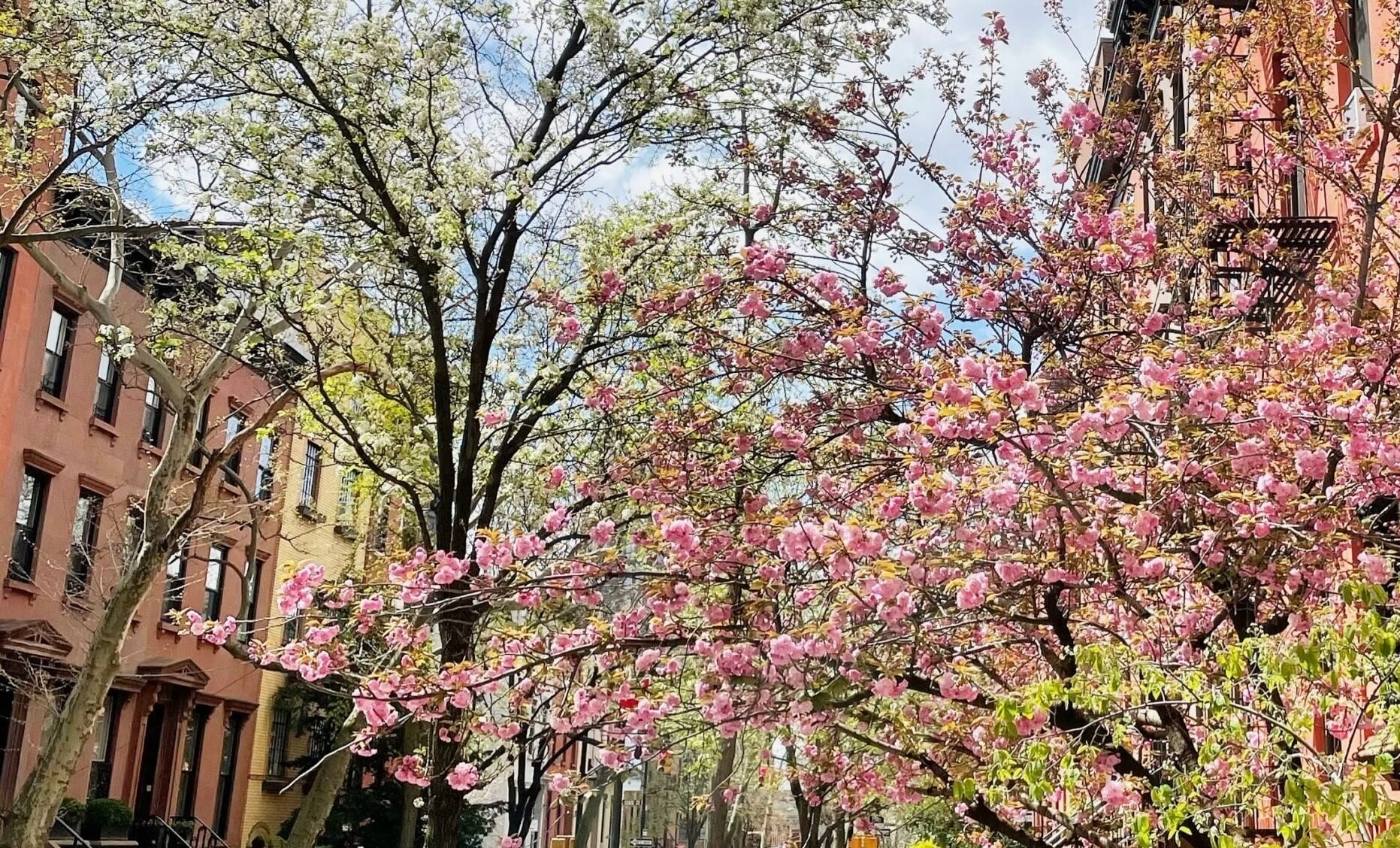 Brooklyn Heights in the spring