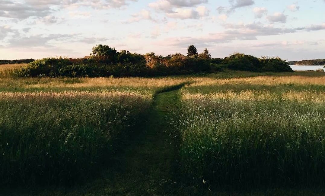 Have a Lovely (Long) Weekend.