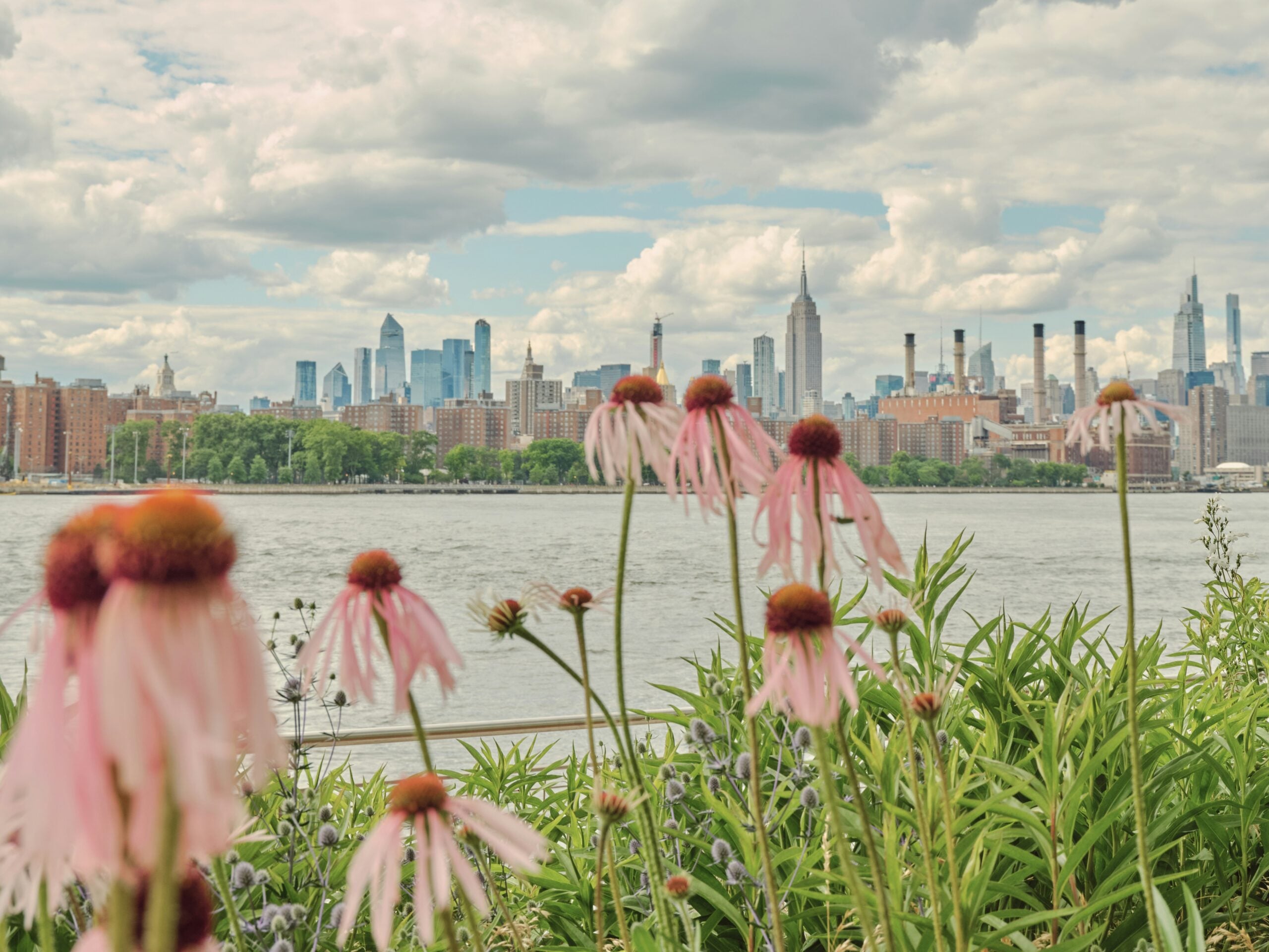 flower city