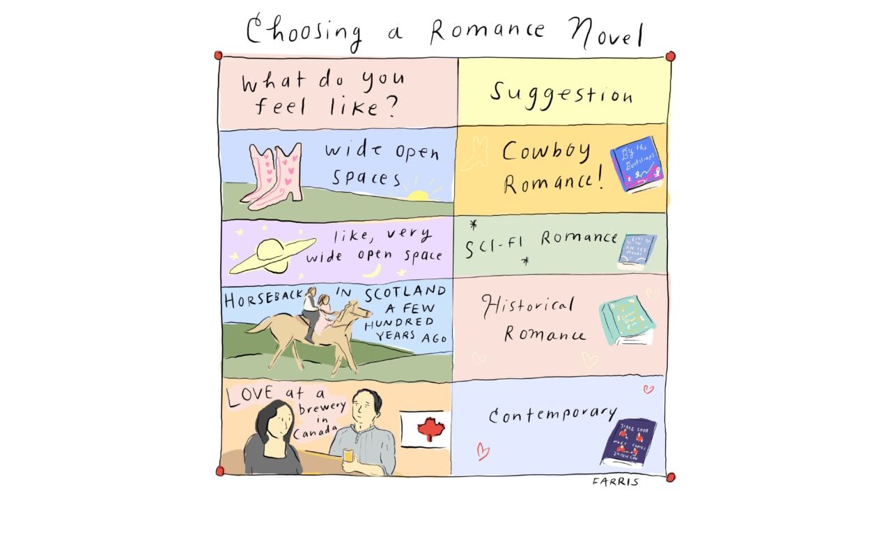 choosing a romance novel grace farris comic