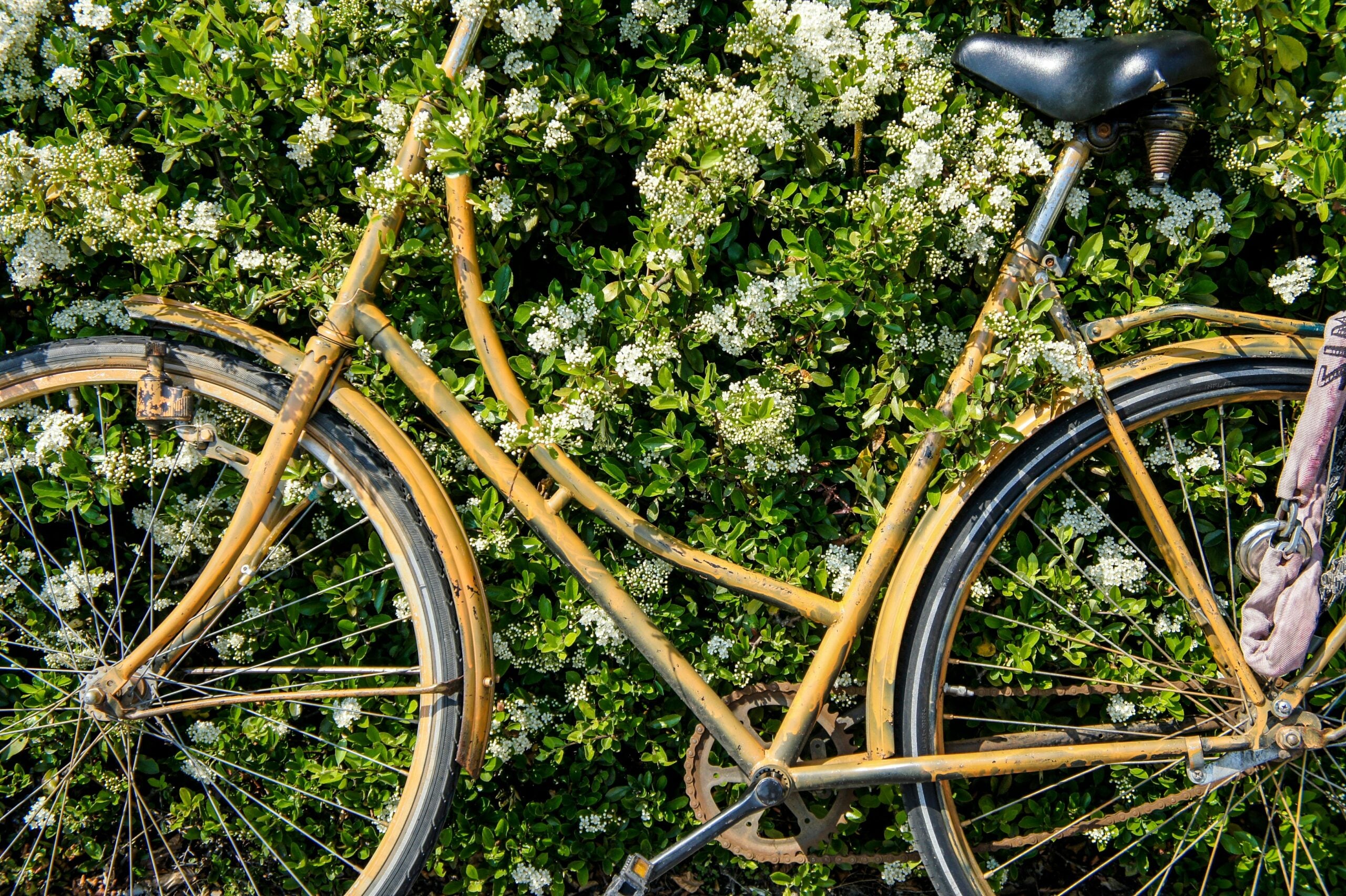bike flowers