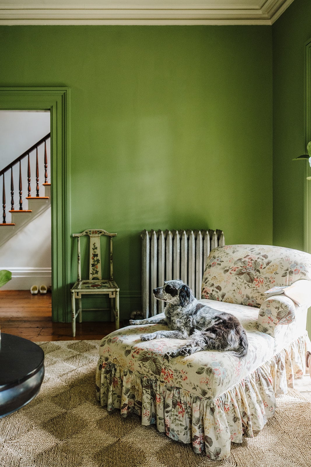 Olivia Muenter's house tour