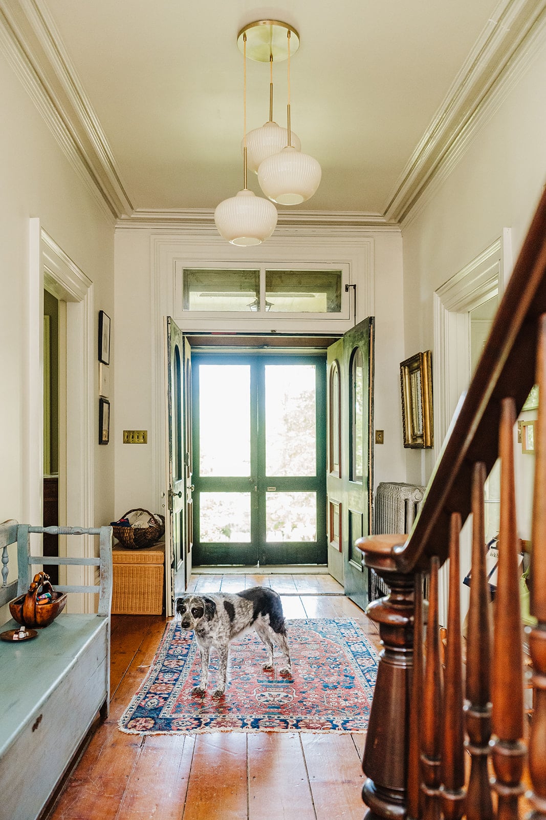Olivia Muenter's house tour