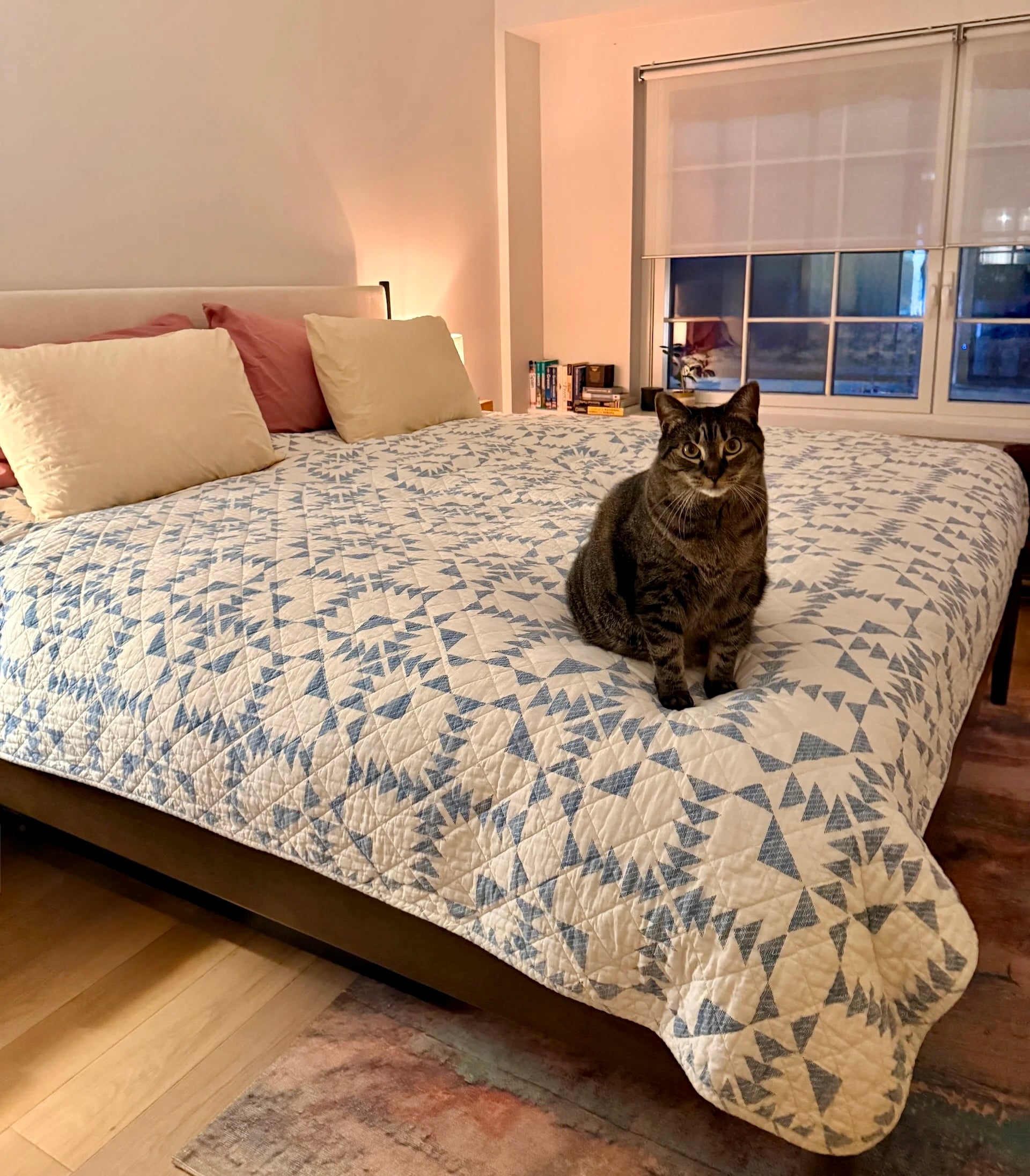 leesa mattress