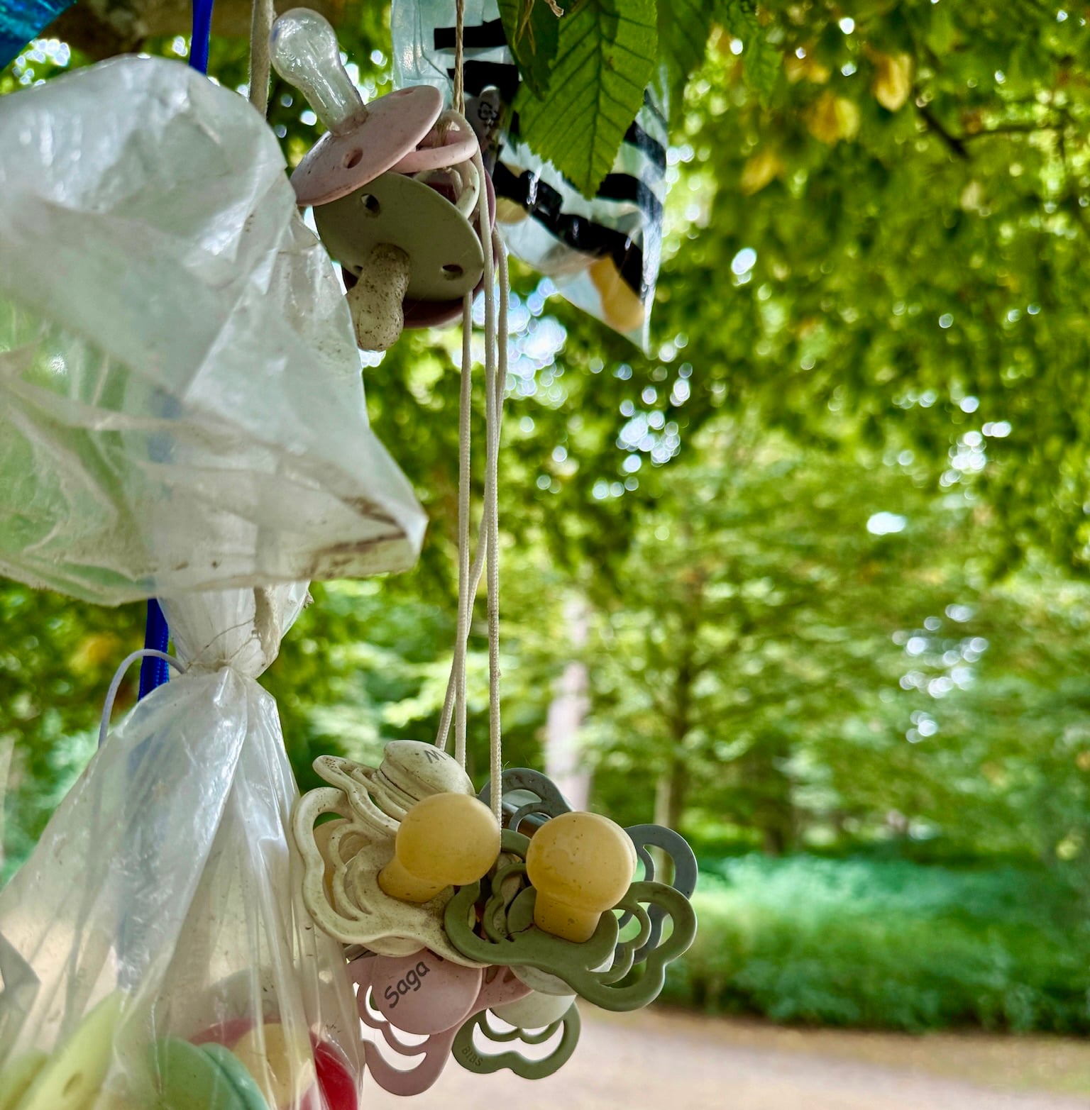 Copenhagen pacifier tree