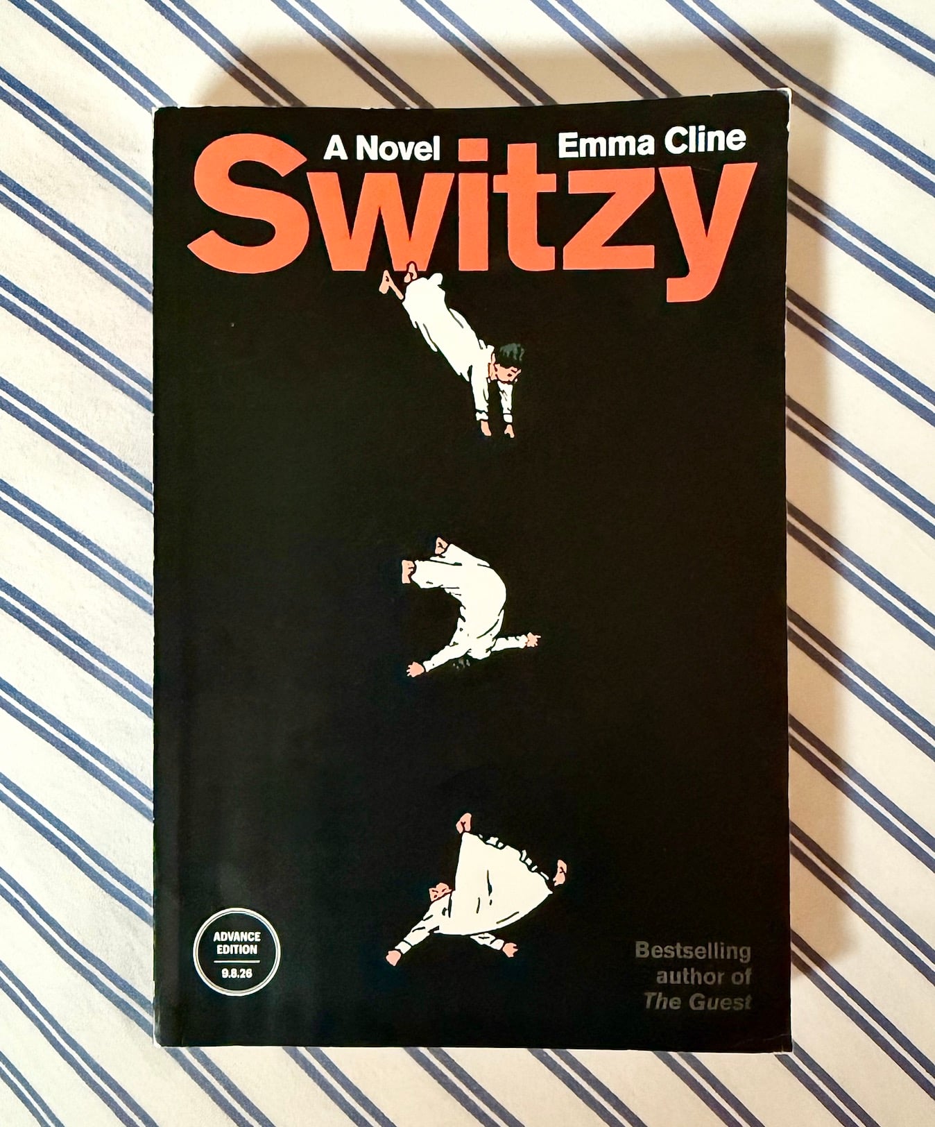 switzy by Emma cline novel book