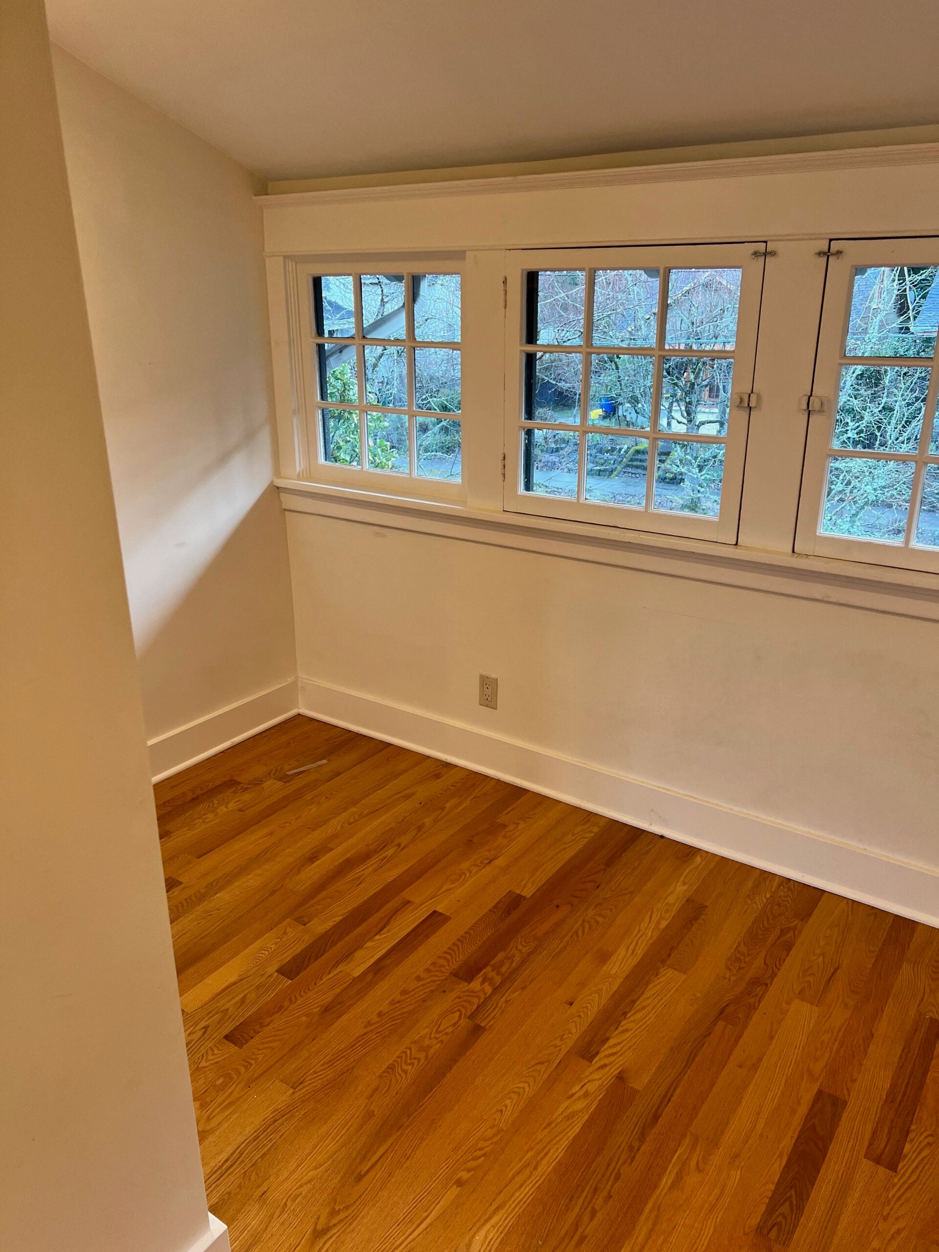 Rachel Hochhauser office tour