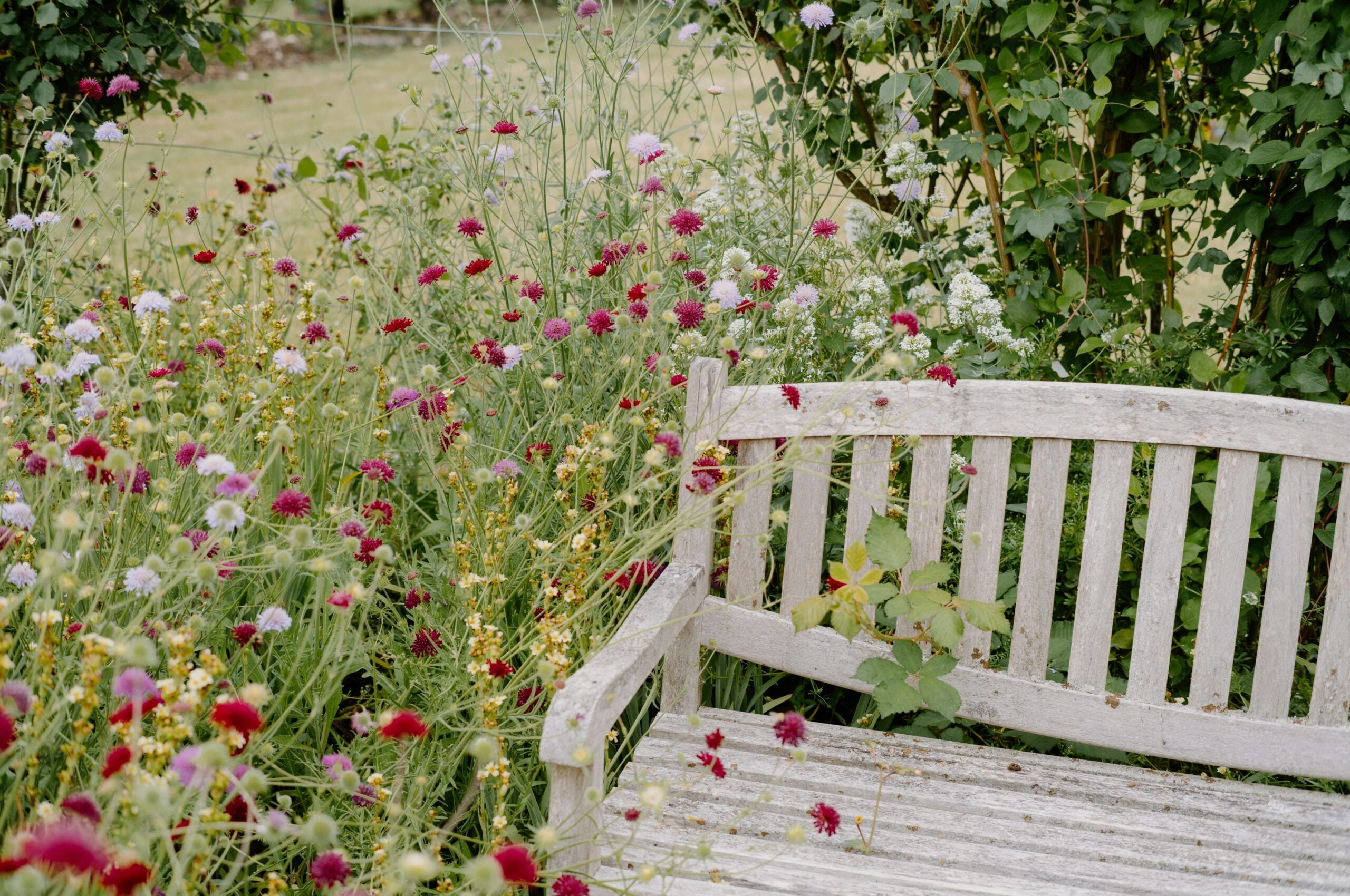park bench with flowers