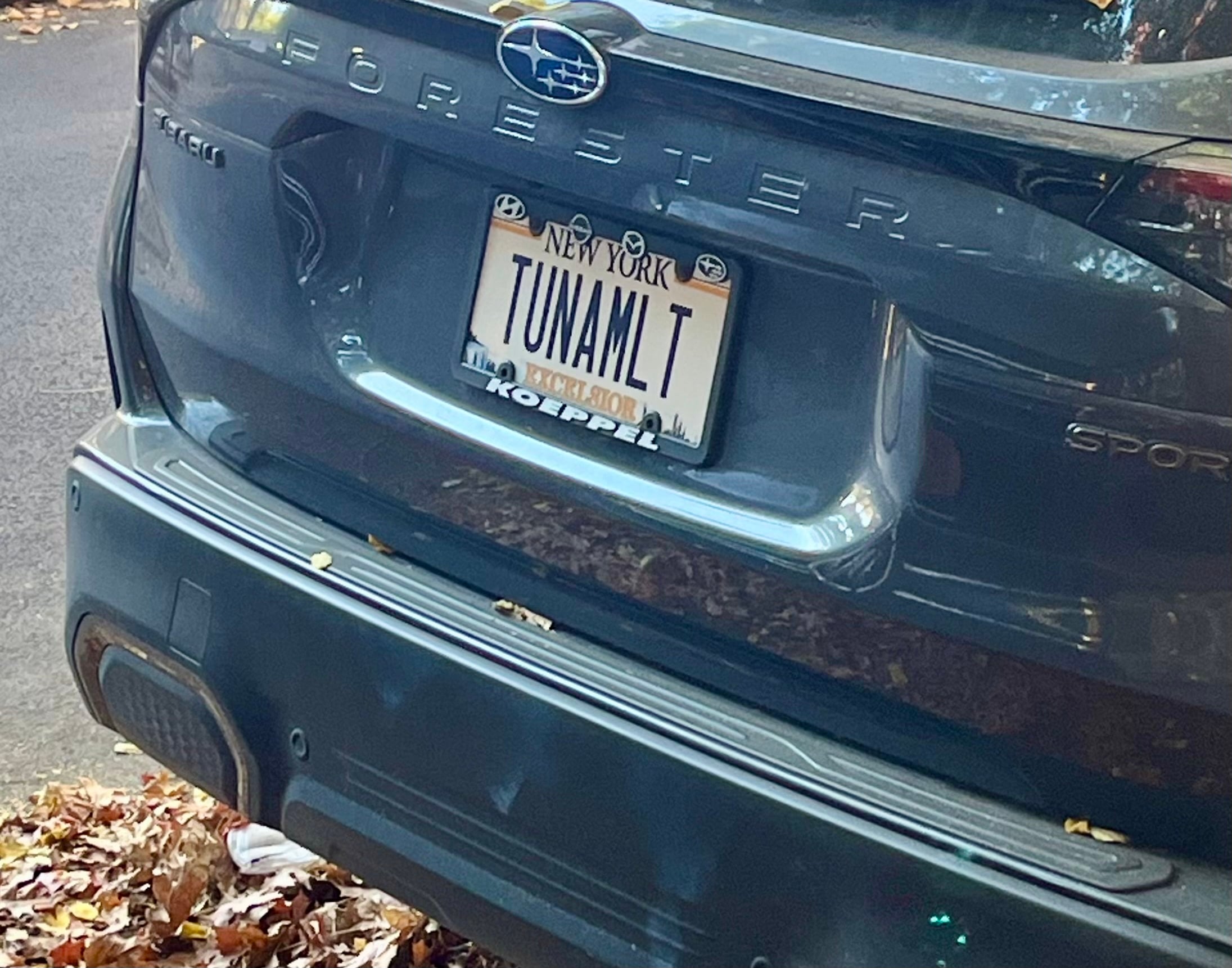 license plate tuna melt