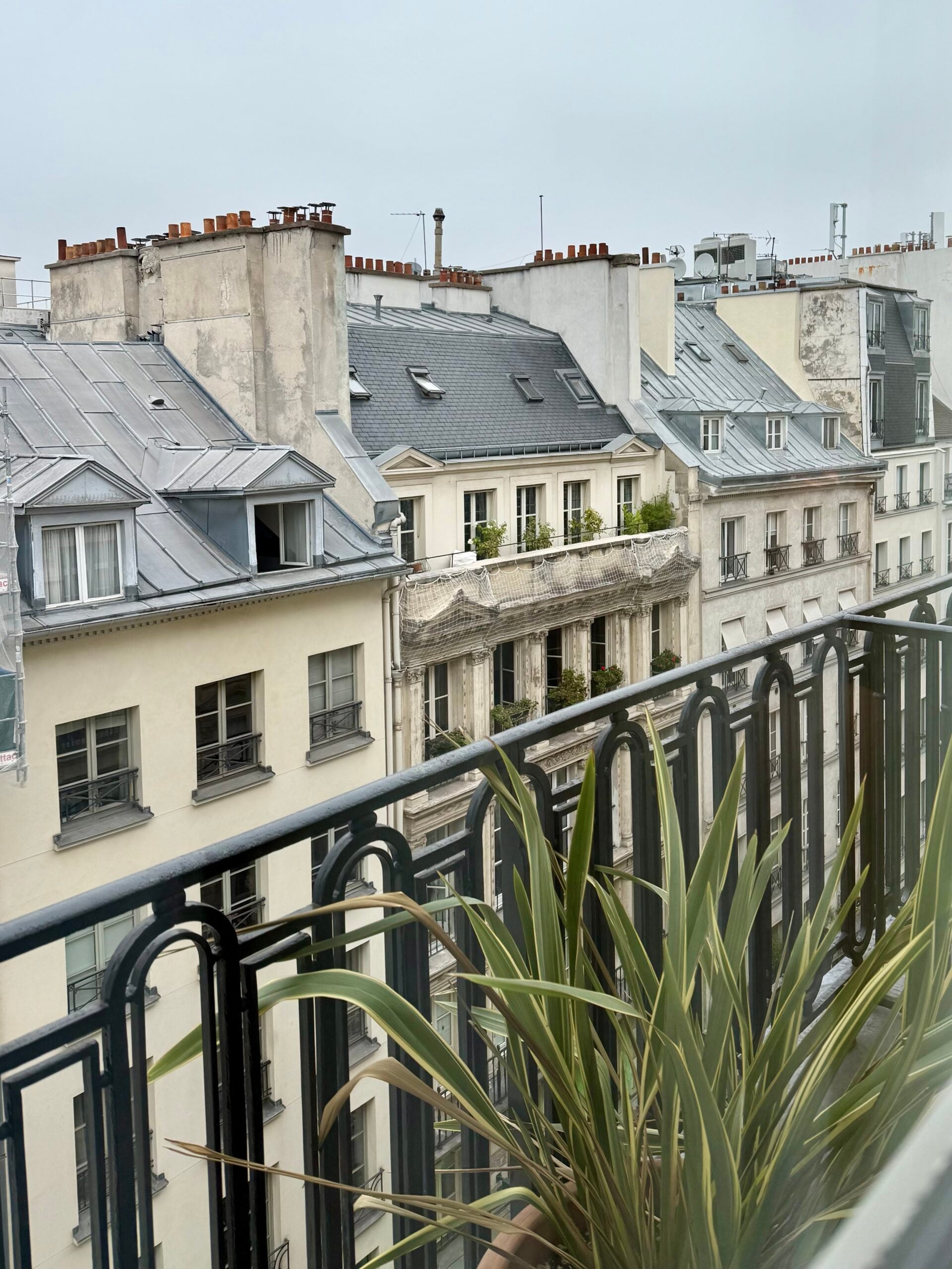 10 Fun Things I Noticed in Paris