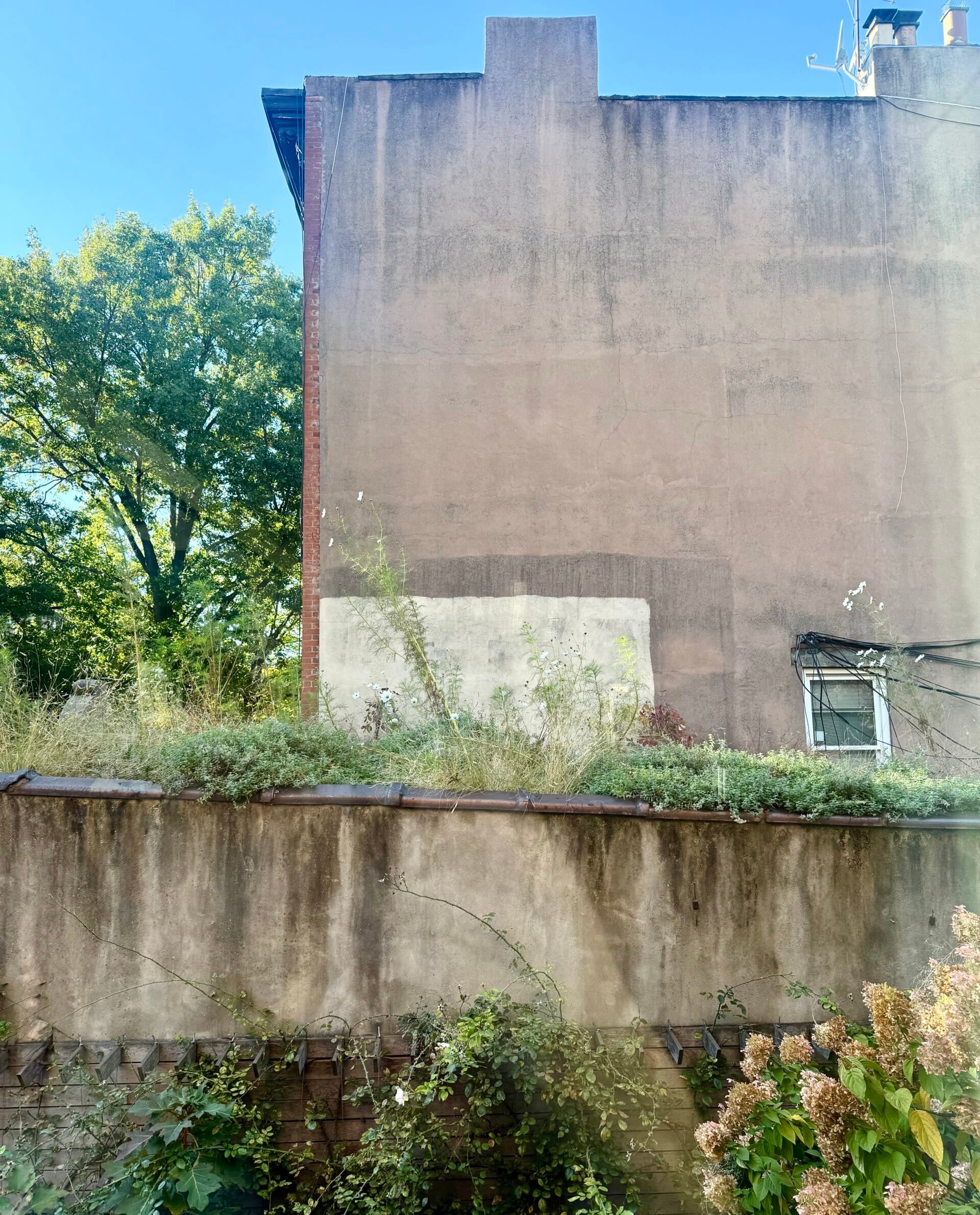 rooftop garden garage Brooklyn